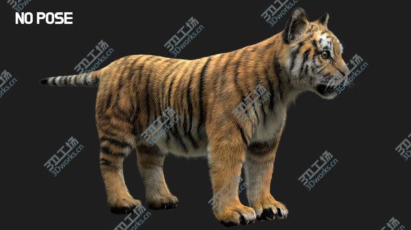 images/goods_img/20210312/TigerBaby Fur 3D model/4.jpg